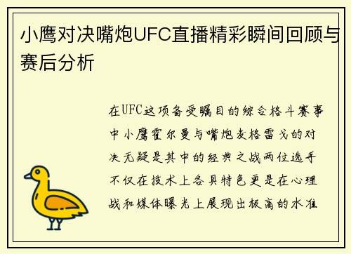 小鹰对决嘴炮UFC直播精彩瞬间回顾与赛后分析